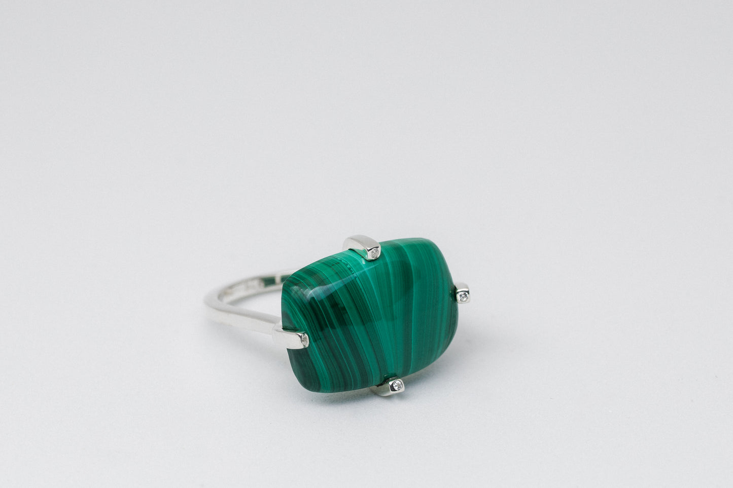 Anillo Posidonia
