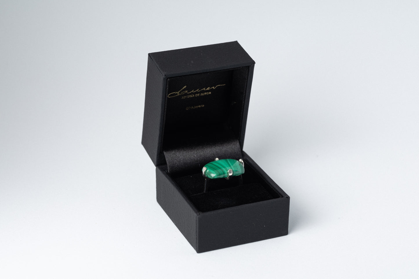 Anillo Posidonia