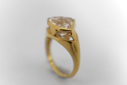 Anillo Culmen