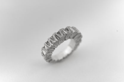 Anillo Brújula